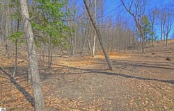 Lot 52 S Skye Hill Drive, Traverse City, MI 49684