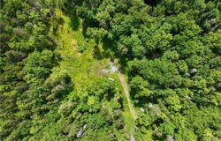 Kirkland Road lot: #6, Forestport, NY 13338