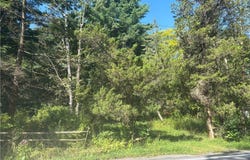 520 Sheldon Road, Freeville, NY 13068