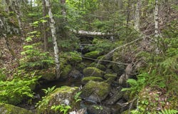 9997 NYS Route 9N, Keene, NY 12942