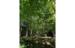 9043 County Rd A, Fish Creek, WI 54212