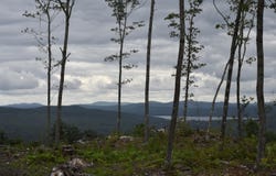 Deer Hill Road, Harrison, ME 04040