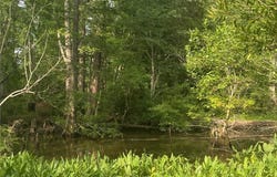339 Neck O Land RD, Williamsburg, VA 23185