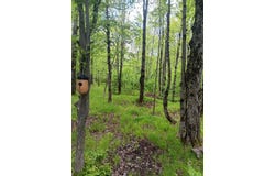 N10095 Woodland Lane, Phillips, WI 54555