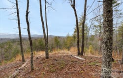 1362 ANSON G. BETTS Road, Marshall, NC 28753
