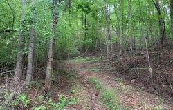 42.16 ACS GREEN RIVER COVE Road unit: 42.162 Ac., Saluda, NC 28726