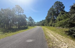 2 Ramsey Way, Panacea, FL 32446