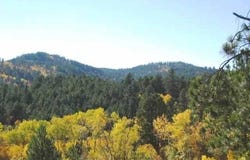 Lot 16 Dynasty Road, Lead, SD 57754