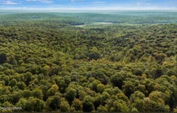 291 Deer Run Road, Pocono Lake, PA 18347