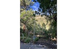 Rainbow Trout Lane lot: 5 & 6, Pecos, NM 87552