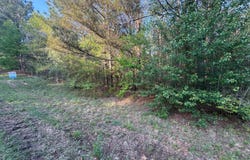 BERRY RD/HARBOR RD., Winfield, AL 35594