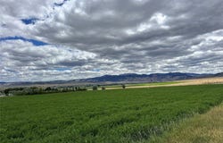 Spring Canyon RD lot: 1A, Alder, MT 59710