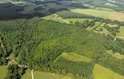 351 Co Rd 93, Anderson, AL 35610