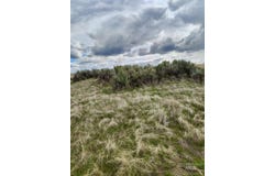 2450 1st Lane E Lot B, Parma, ID 83660