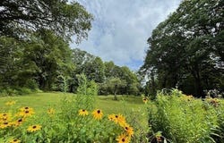 29 Tomlinson Rd, Oakham, MA 01068