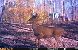 W Eckert Road, English, IN 47118