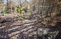 6704 Lot 1 BUCKINGHAM TERRACE, BUENA, NJ 08310