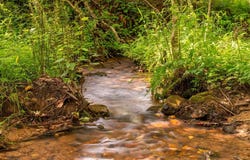 23.77ac Hardscrabble Road, Mineral Bluff, GA 30559