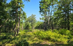 2 TBD River Road Muse Oklahoma, Muse, OK 74949