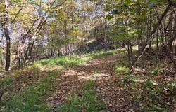 BLACK WALNUT Road, COMMODORE, PA 15729