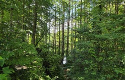 1102 Pine Valley Drive, Suffolk, VA 23434