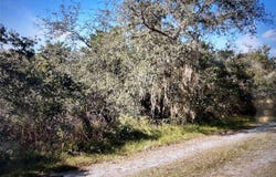 795 4TH STREET E, OSTEEN, FL 32764