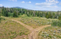 Spring Creek Ranch Rd lot: Ar, SILVERTHORNE, CO 80498