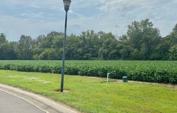 Timber Creek, Dexter, MO 63841