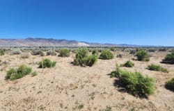 36 Kelsey Court, Dayton, NV 89403