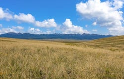 2015 Kit Carson Rd, Westcliffe, CO 81252