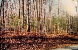 9880 Wolf Trap Ln, Dayton, VA 22821