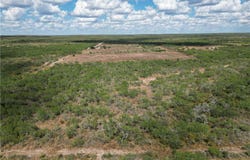 3252 county road 341 lot: 0, Freer, TX 78357