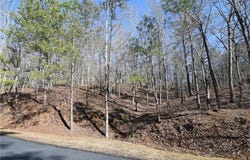 00 Harris Ridge Lane, Ellijay, GA 30540