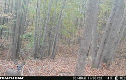 0 Felix Road, Nathalie, VA 24577