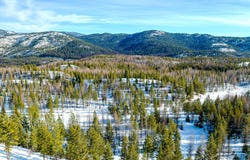 NHN McGinnis Meadows - Fishtrap Road Section 9, Libby, MT 59923