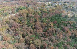 Highway 76, Kirbyville, MO 65679