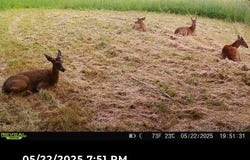 1526 Ozark Road, Crane, MO 65633
