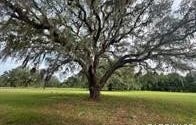 4160 NE 127th Place, Anthony, FL 32617