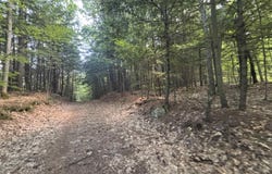 Windfall Road, Northfield, NH 03276