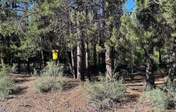 2 Pine Creek Loop, Crescent Lake, OR 97733