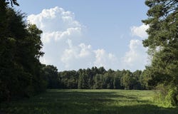 18.6 Acres +/- Highway 431, Boaz, AL 35956