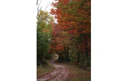 4345 Mt Unger Rd, Otway, OH 45657