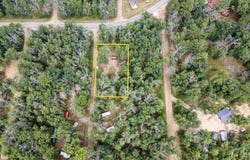 8532 S 1st Street, Baldwin, MI 49304