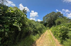 1 Rockport Rd, Lexington, MS 39095