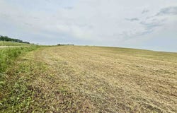 Lot 13 Hemmingford Avenue, Tomah, WI 54660