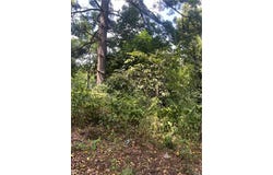 1113 Buente, Spring Hill, PA 15212