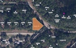 SHIRLEY CIR,, GEORGETOWN, FL 32139