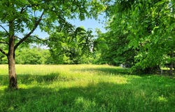 McCormick Lane, Harriman, TN 37748