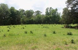 3813 E CR 176, Kilgore, TX 75662