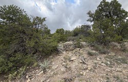 Skyline Ct Tract 6B, Sandia Park, NM 87047